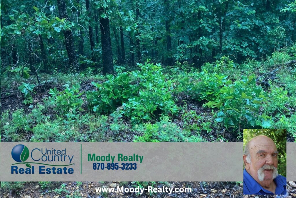 Property photo for land for sale in Sharp County Arkansas