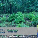 Property photo for land for sale in Sharp County Arkansas