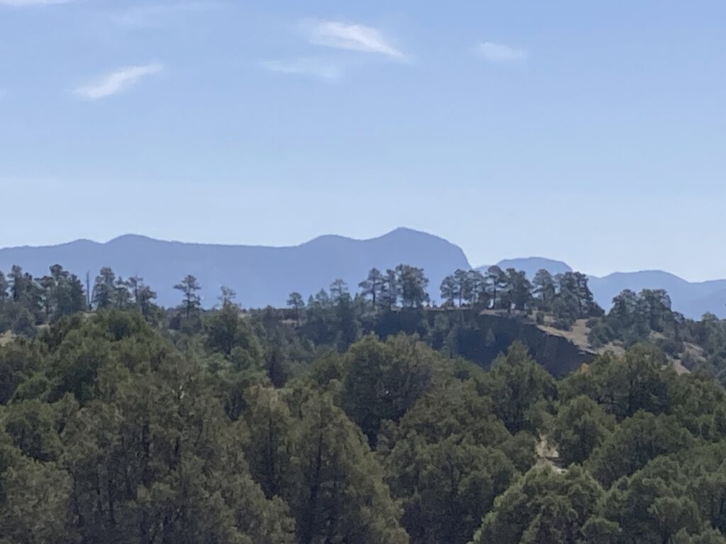 Property photo for land for sale in Rio Arriba County New Mexico