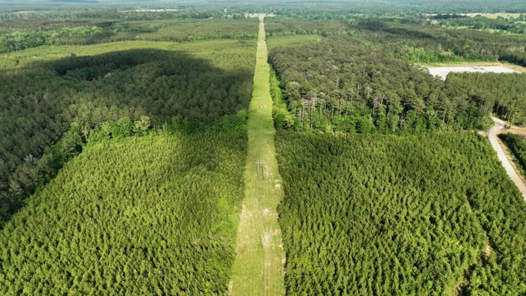 Property photo for land for sale in Amite County Mississippi