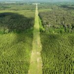 Property photo for land for sale in Amite County Mississippi