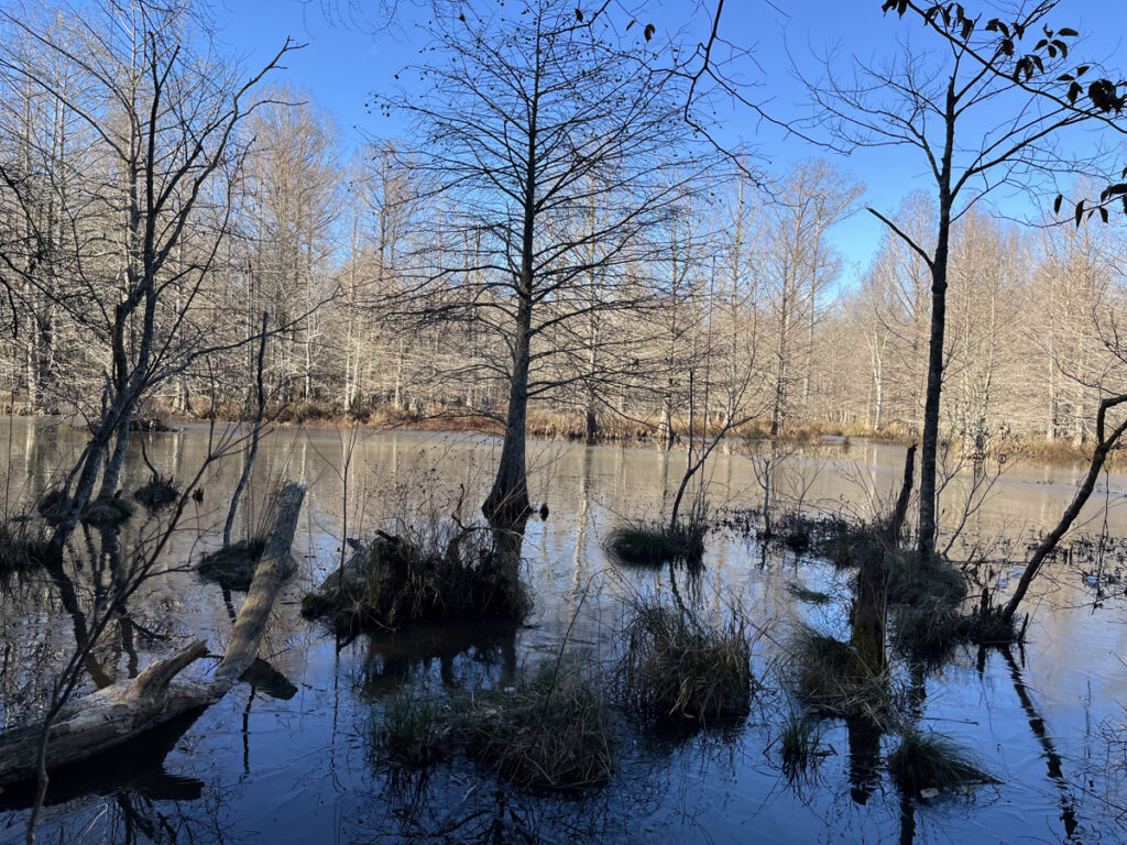 Property photo for land for sale in Union County Arkansas