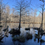 Property photo for land for sale in Union County Arkansas