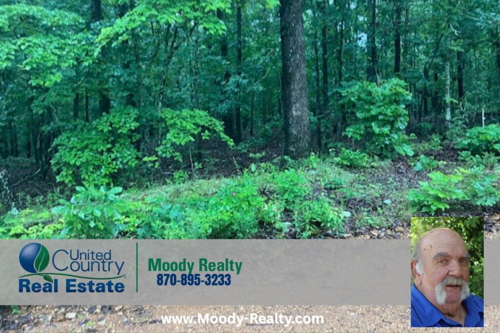Property photo for land for sale in Sharp County Arkansas