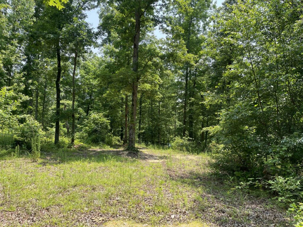 Property photo for land for sale in Hardin County Tennessee