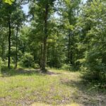 Property photo for land for sale in Hardin County Tennessee
