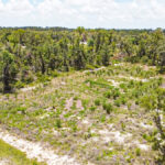 Property photo for land for sale in Taylor County Florida
