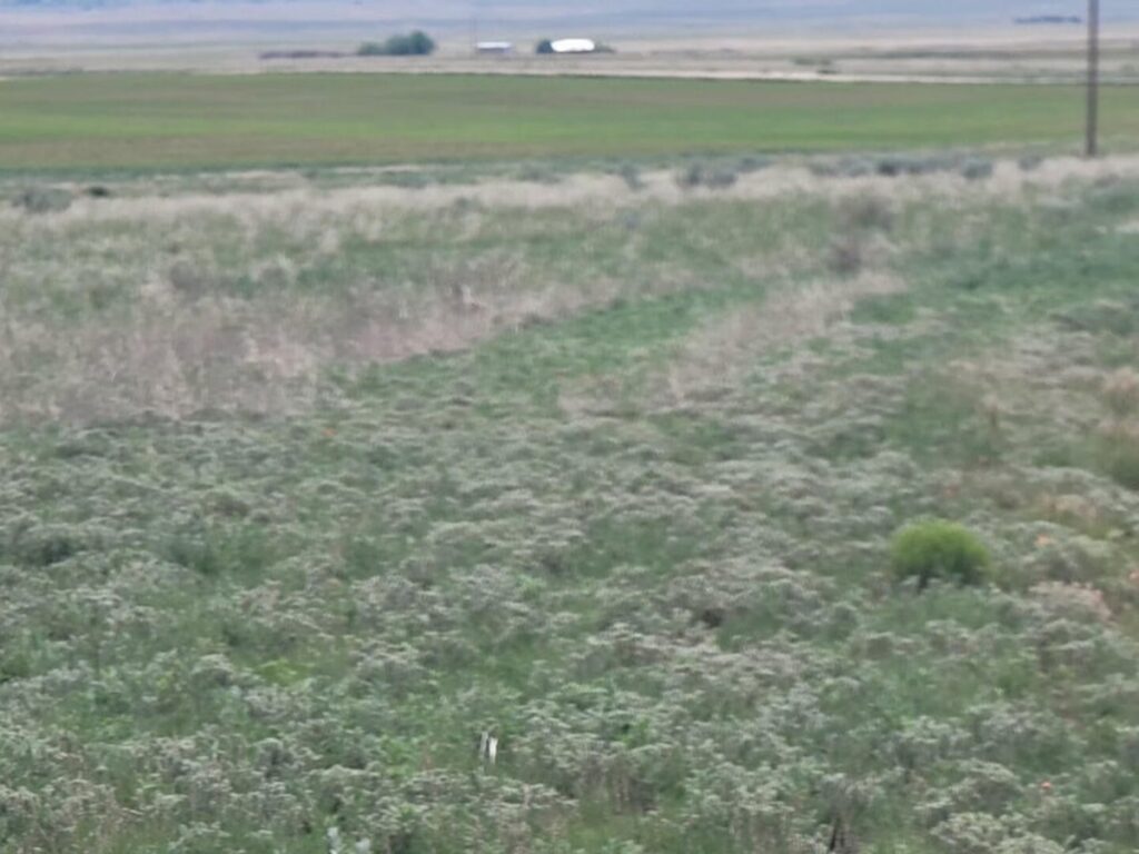 Property photo for land for sale in Santa Fe County New Mexico