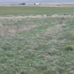 Property photo for land for sale in Santa Fe County New Mexico