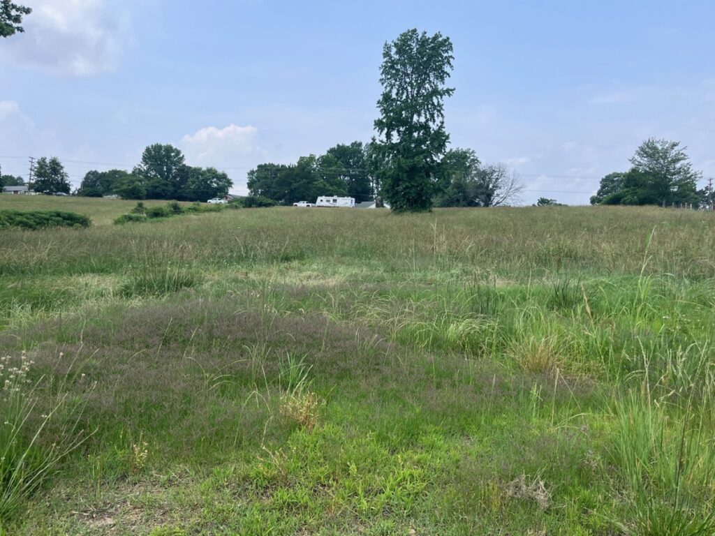 Property photo for land for sale in Van Buren County Arkansas
