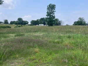 Property photo for land for sale in Van Buren County Arkansas