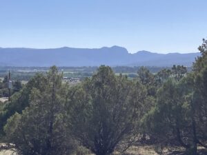 Property photo for land for sale in Rio Arriba County New Mexico