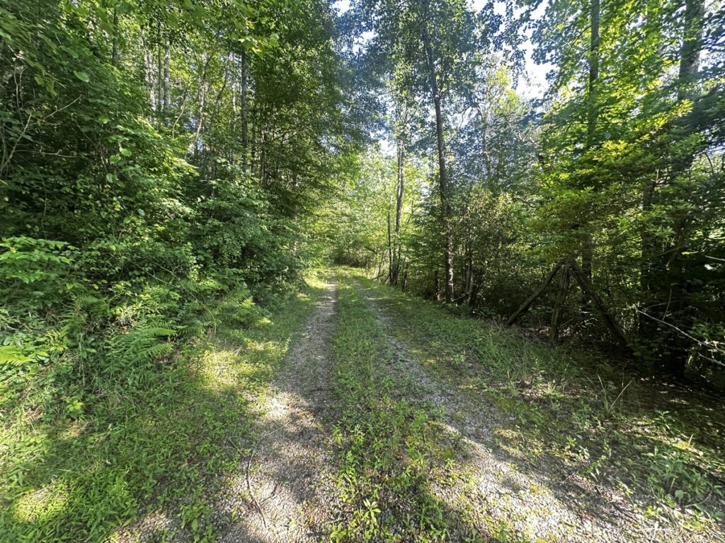 Property photo for land for sale in Wilkes County North Carolina