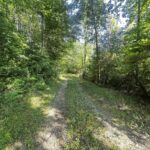 Property photo for land for sale in Wilkes County North Carolina