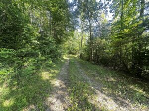 Property photo for land for sale in Wilkes County North Carolina