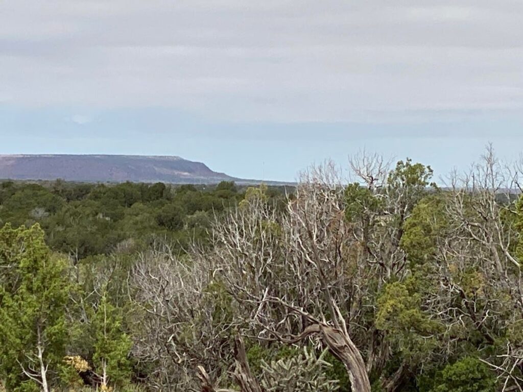 Property photo for land for sale in Guadalupe County New Mexico