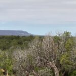 Property photo for land for sale in Guadalupe County New Mexico