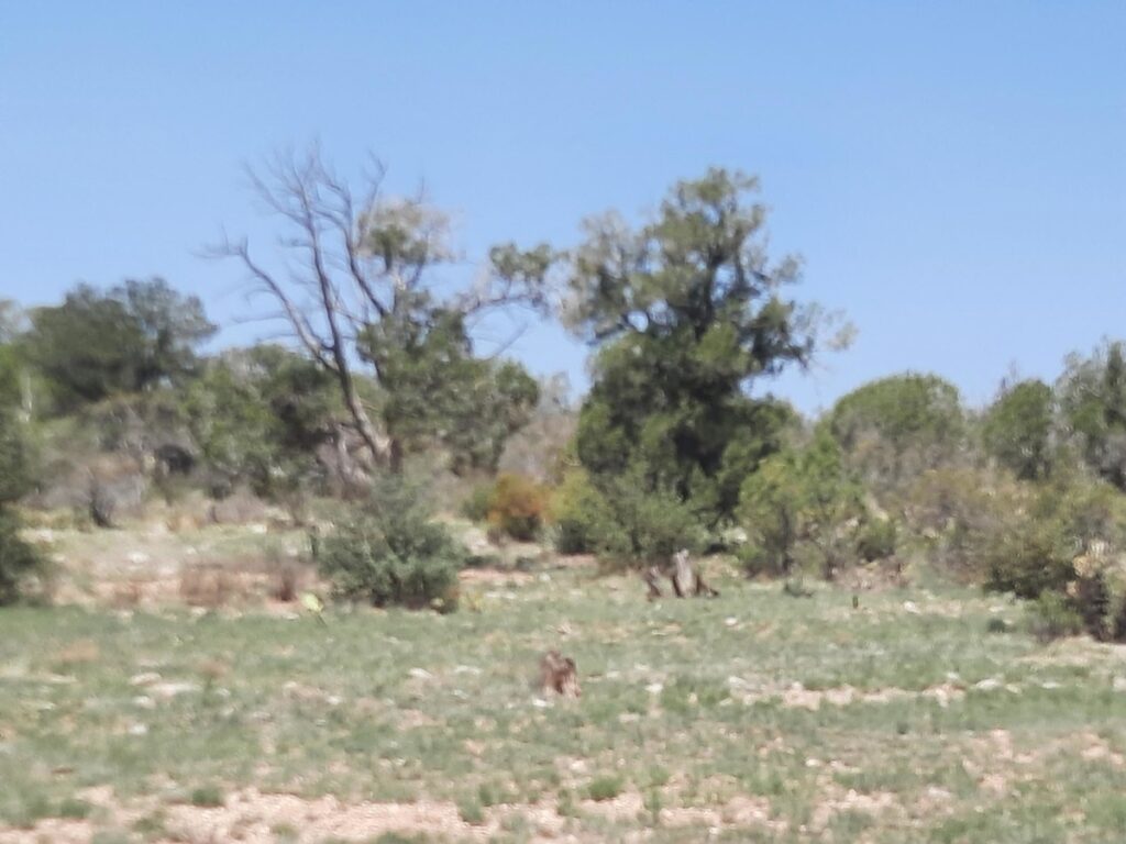 Property photo for land for sale in Yavapai County Arizona