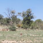 Property photo for land for sale in Yavapai County Arizona