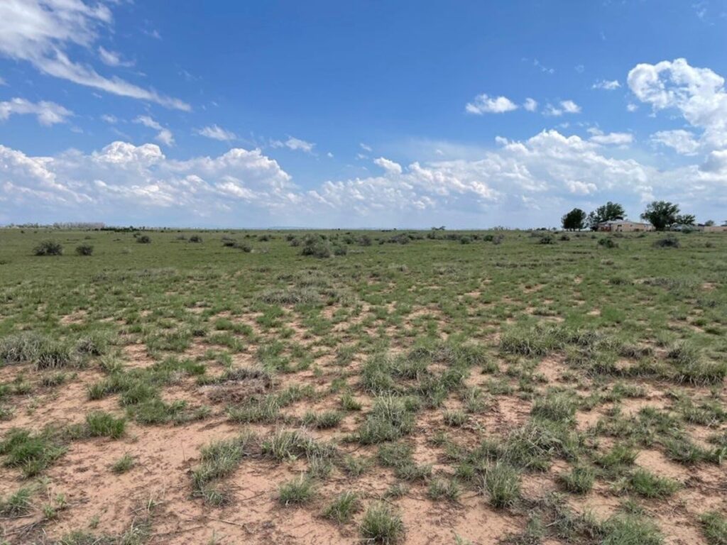 Property photo for land for sale in Torrance County New Mexico