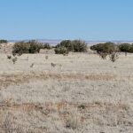 Property photo for land for sale in Torrance County New Mexico