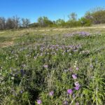 Property photo for land for sale in Brown County Texas