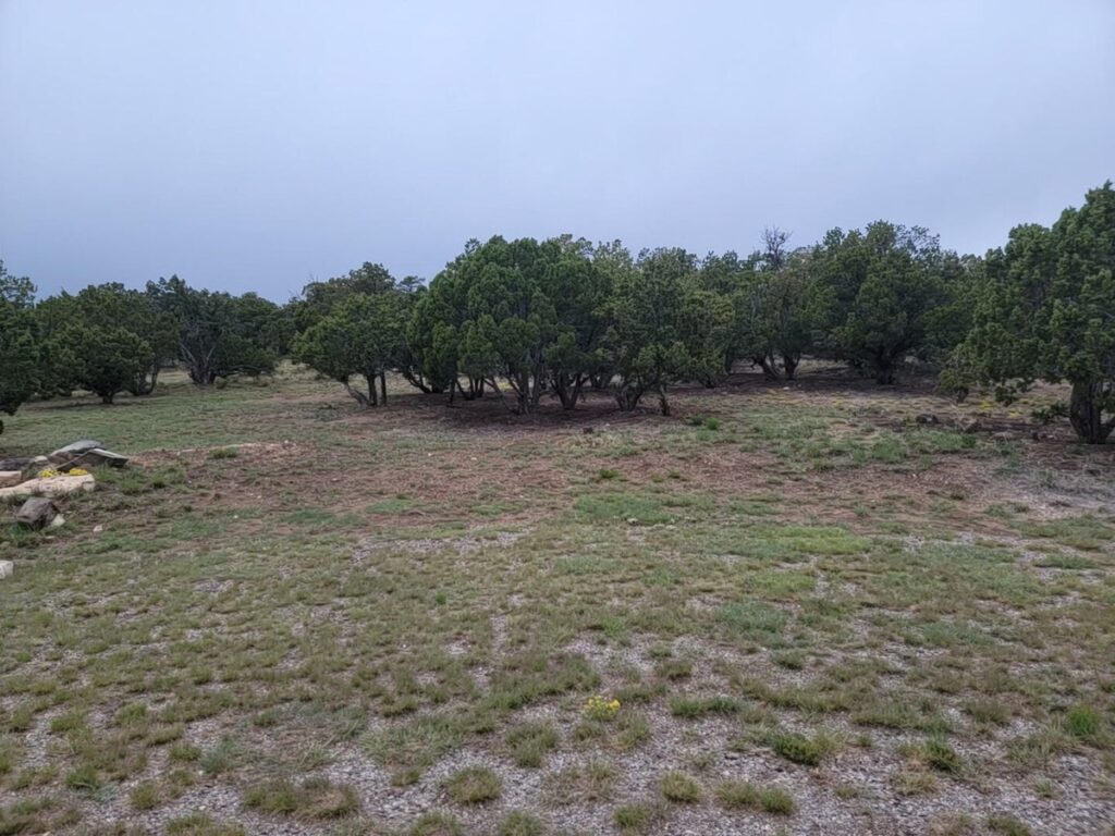 Property photo for land for sale in Torrance County New Mexico