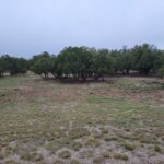 Property photo for land for sale in Torrance County New Mexico
