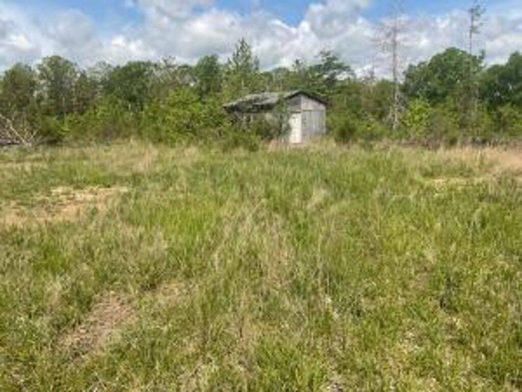 Property photo for land for sale in Texas County Missouri