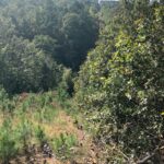 Property photo for land for sale in Latimer County Oklahoma