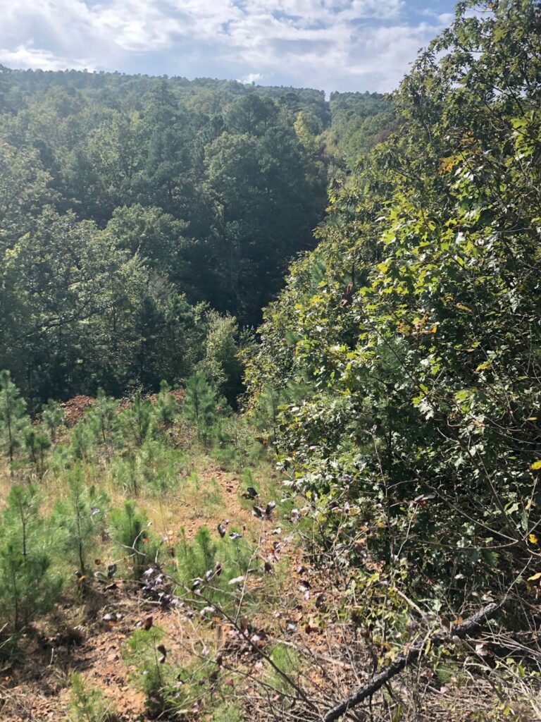 Property photo for land for sale in Latimer County Oklahoma