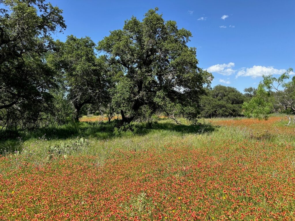 Property photo for land for sale in Brown County Texas