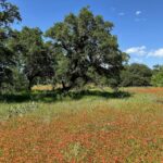 Property photo for land for sale in Brown County Texas