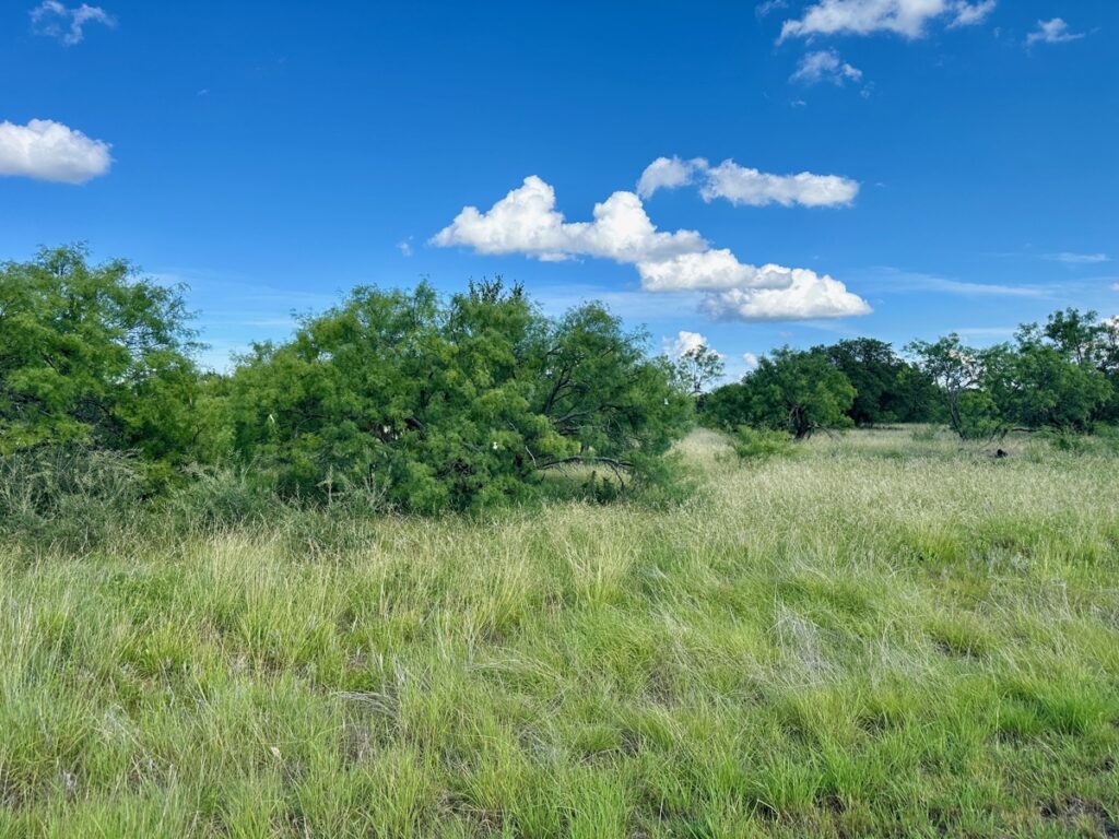 Property photo for land for sale in Brown County Texas