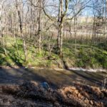 Property photo for land for sale in Hickman County Tennessee