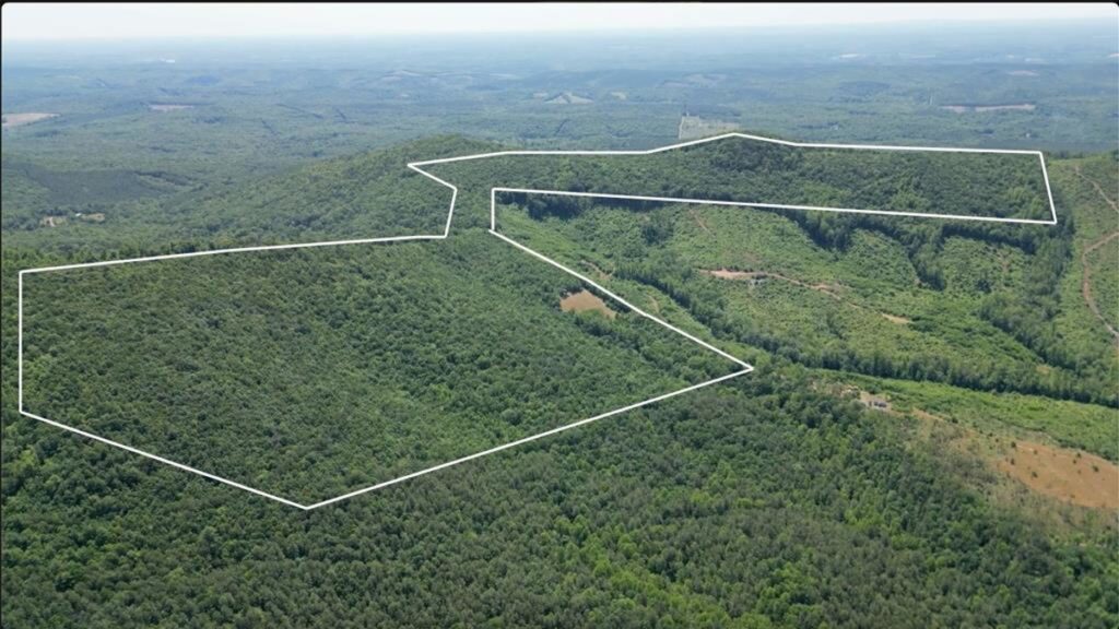 Property photo for land for sale in Nelson County Virginia