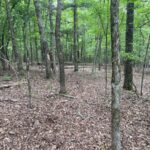 Property photo for land for sale in Marion County Arkansas