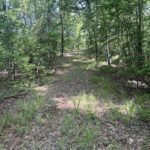 Property photo for land for sale in Tuscaloosa County Alabama