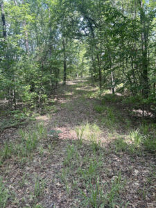 Property photo for land for sale in Tuscaloosa County Alabama