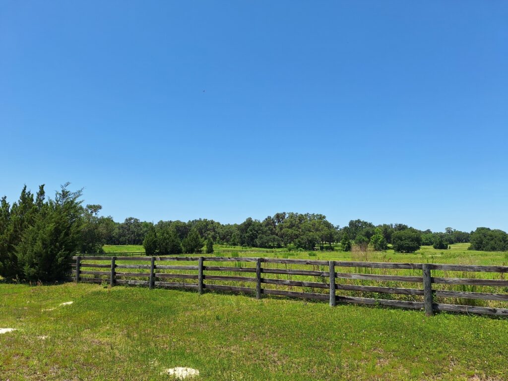 Property photo for land for sale in Marion County Florida