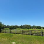 Property photo for land for sale in Marion County Florida