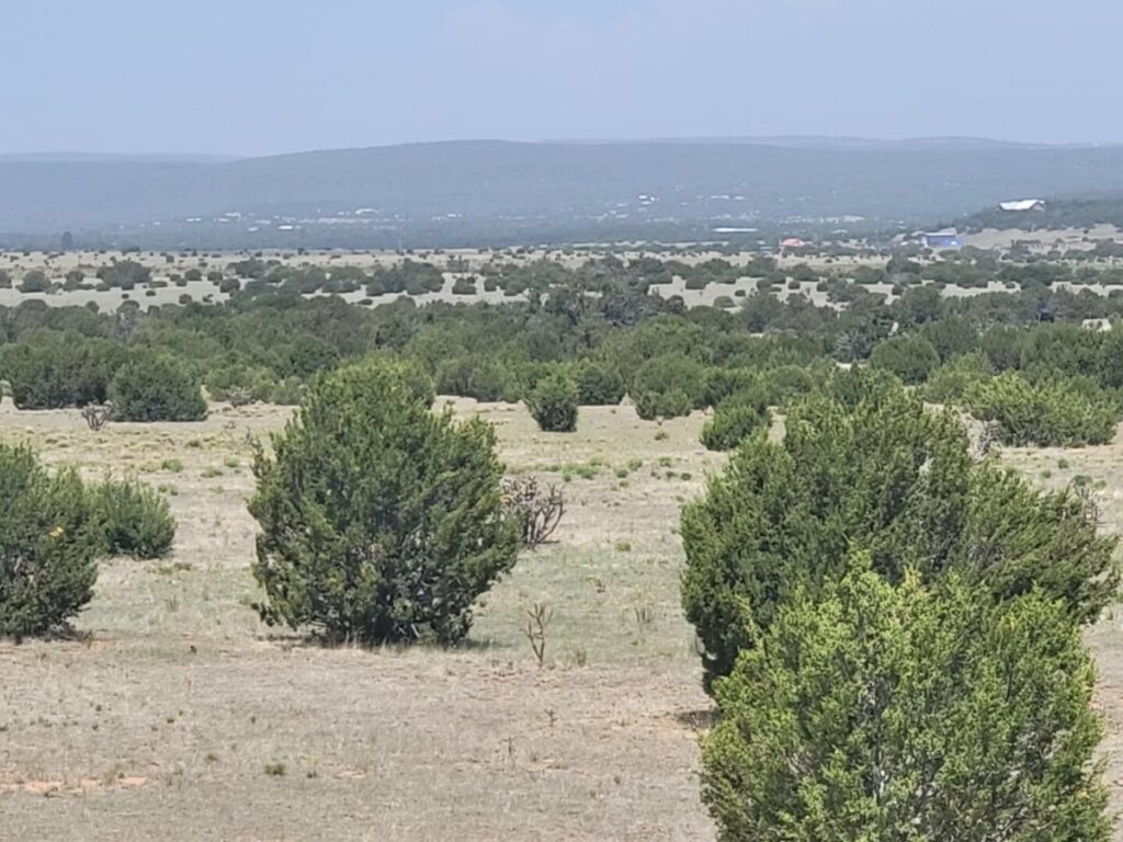 Property photo for land for sale in Torrance County New Mexico