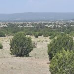 Property photo for land for sale in Torrance County New Mexico