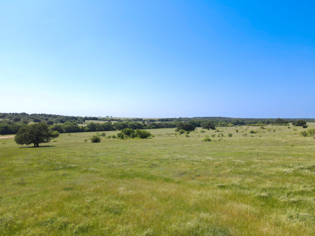 Property photo for land for sale in Montague County Texas