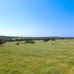 Property photo for land for sale in Montague County Texas