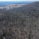 Property photo for land for sale in Ozark County Missouri