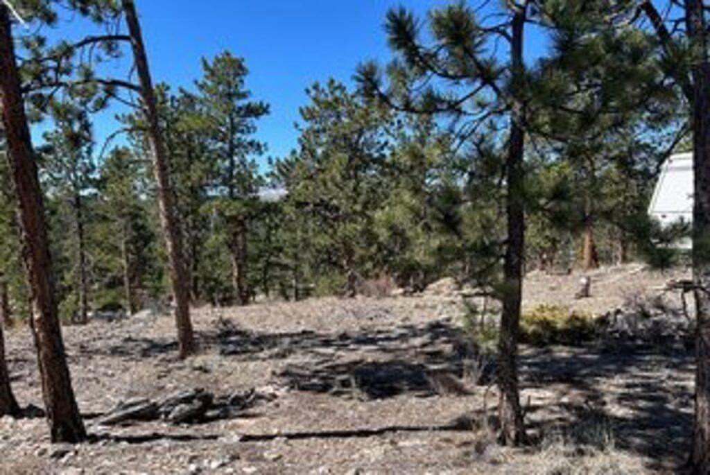 Property photo for land for sale in Larimer County Colorado