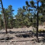 Property photo for land for sale in Larimer County Colorado