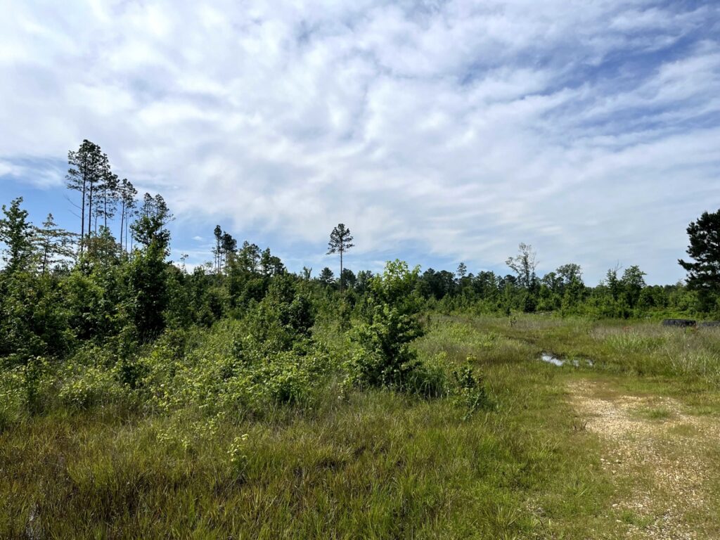 Property photo for land for sale in Hot Spring County Arkansas