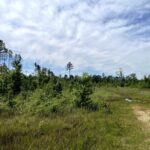 Property photo for land for sale in Hot Spring County Arkansas